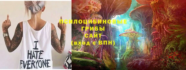 стаф Балахна